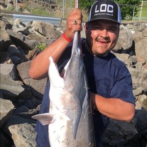 Meet your Posher, Efrain